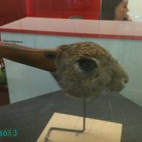 Famous ambiguous rabbitduck recreated as taxidermy