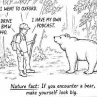 Bear don't care