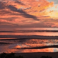 dawning beauty