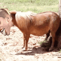 itchy ass