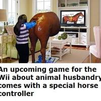 horse husbandry