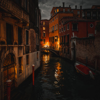 Venice by Patrice Michellon