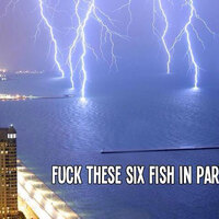 Filthy fish
