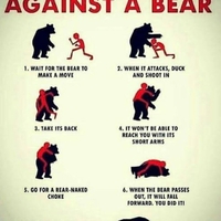 How to deal with a bear