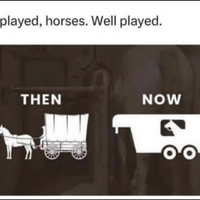 Horses