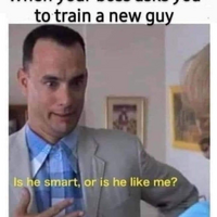 Stupid is as stupid does