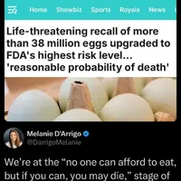 When shit salad wasn't enough 