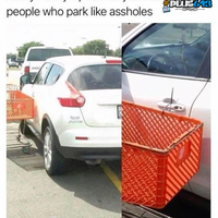 assholes in cars