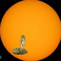Venus transits sun