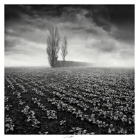 Le Chant des Brumes V, Vendée, France 2024 by Lionel HUG