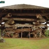 BIG log house