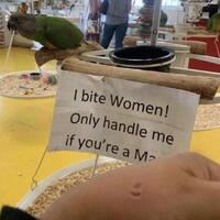 Ambivalent about transgender