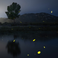 Lagoon Lights by Tiago Marques