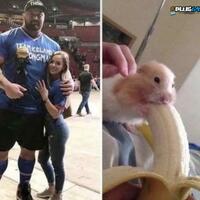 Comparisons