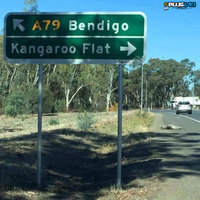 Kangaroo flat