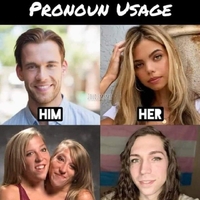 Pronouns 