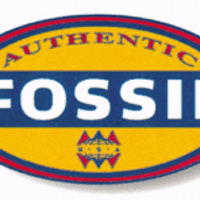 authentic fossil