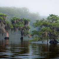 Blue Cypress Lake