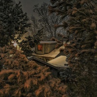 Snow scene December 2025 by Tyler Lizenby