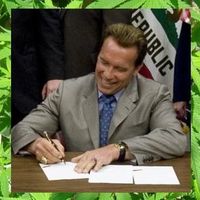 Marijuana has been Decriminalized in Cali.