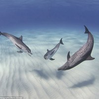 2012 National Geographic photography competition