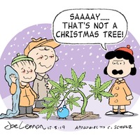 Bringing holiday cheer