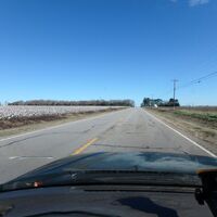 Driving among the cotton fields